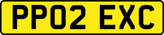 PP02EXC