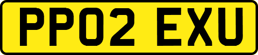 PP02EXU