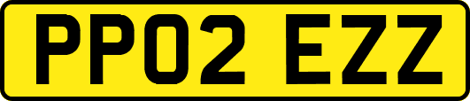 PP02EZZ