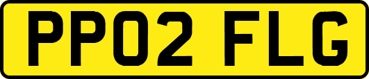 PP02FLG