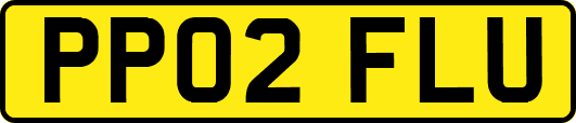 PP02FLU
