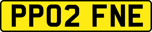 PP02FNE
