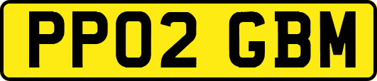 PP02GBM