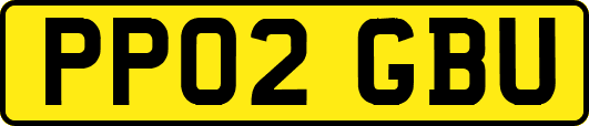 PP02GBU