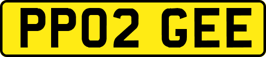 PP02GEE
