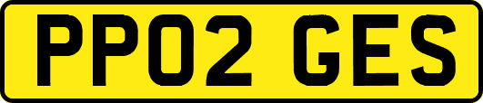 PP02GES