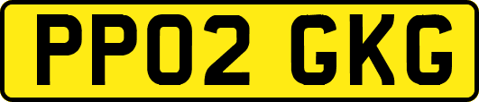 PP02GKG