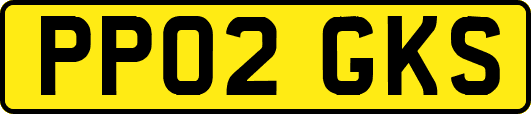 PP02GKS