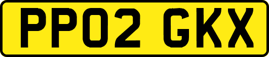 PP02GKX