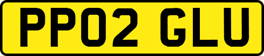 PP02GLU