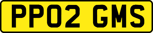 PP02GMS