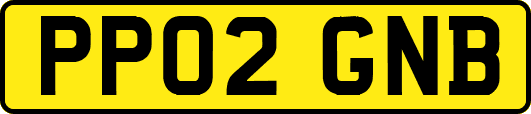 PP02GNB