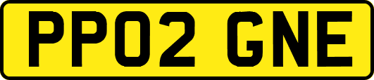PP02GNE