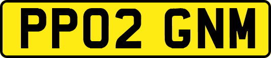 PP02GNM