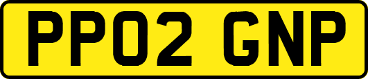 PP02GNP