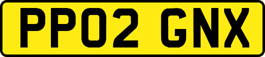 PP02GNX