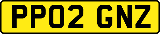 PP02GNZ