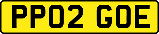 PP02GOE