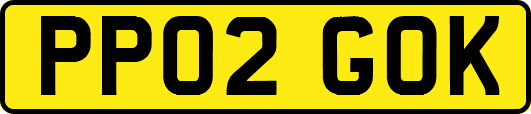 PP02GOK