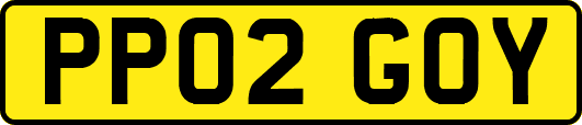 PP02GOY