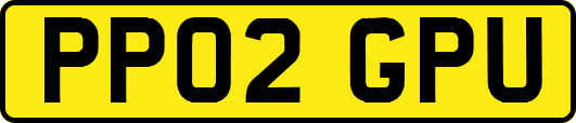 PP02GPU