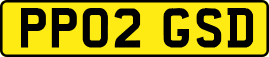 PP02GSD