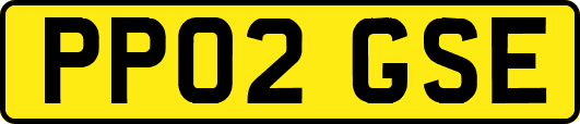 PP02GSE