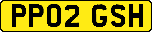 PP02GSH