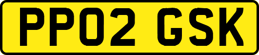 PP02GSK