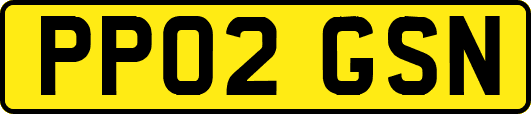 PP02GSN