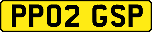 PP02GSP