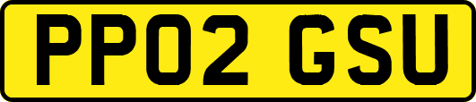 PP02GSU