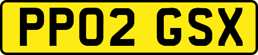 PP02GSX