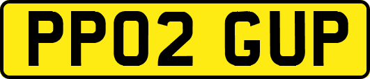 PP02GUP