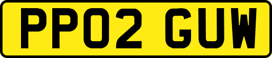 PP02GUW