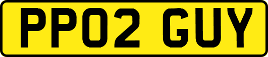 PP02GUY