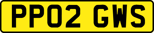 PP02GWS