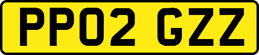 PP02GZZ