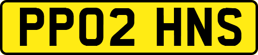 PP02HNS