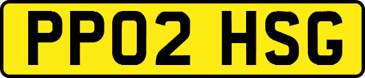 PP02HSG