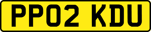 PP02KDU