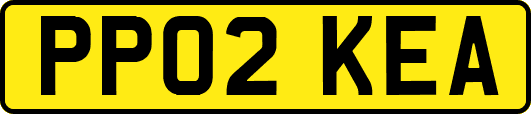 PP02KEA