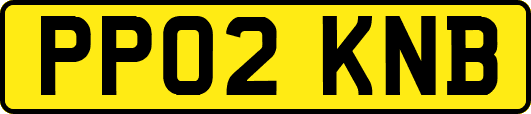 PP02KNB