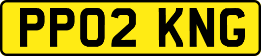 PP02KNG