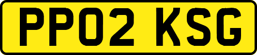 PP02KSG