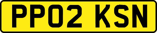 PP02KSN