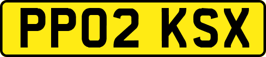 PP02KSX
