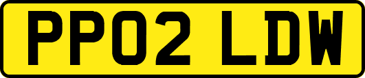 PP02LDW