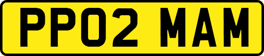 PP02MAM
