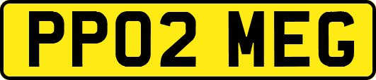 PP02MEG
